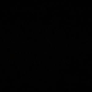 Meet your Posher, Roeya